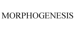 MORPHOGENESIS trademark