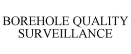 BOREHOLE QUALITY SURVEILLANCE trademark