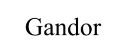 GANDOR trademark