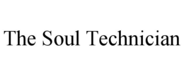 THE SOUL TECHNICIAN trademark
