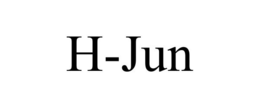 H-JUN trademark
