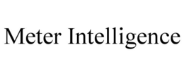 METER INTELLIGENCE trademark