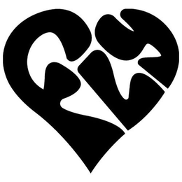 FLY trademark