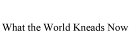 WHAT THE WORLD KNEADS NOW trademark