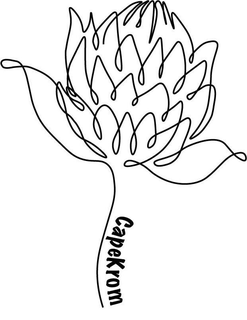 CAPEKROM trademark