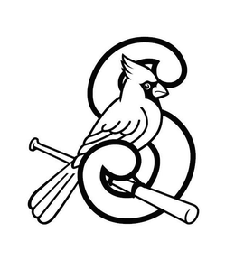 S trademark