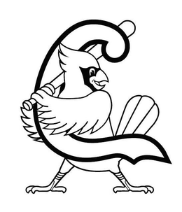 C trademark