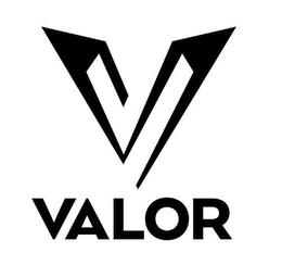 V VALOR trademark