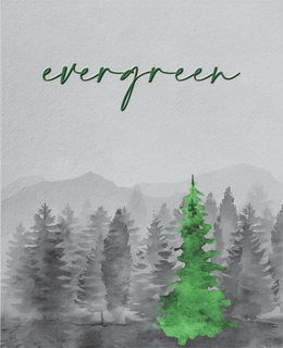 EVERGREEN trademark