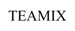 TEAMIX trademark