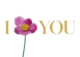 I YOU trademark
