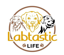 LABTASTIC LIFE trademark