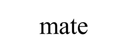 MATE trademark
