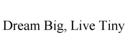 DREAM BIG, LIVE TINY trademark