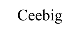 CEEBIG trademark
