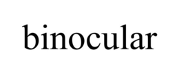 BINOCULAR trademark
