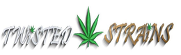 TWISTED STRAINS trademark