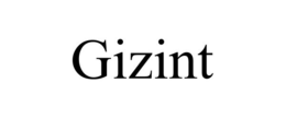GIZINT trademark
