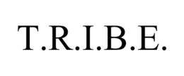 T.R.I.B.E. trademark