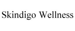 SKINDIGO WELLNESS trademark