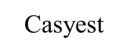 CASYEST trademark