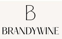 B BRANDYWINE trademark