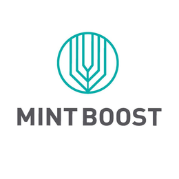 MINT BOOST trademark