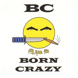 BORN CRAZY STORE trademark