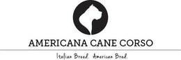 AMERICANA CANE CORSO ITALIAN BREED. AMERICAN BRED. trademark