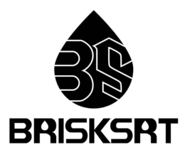 BS BRISKSRT trademark