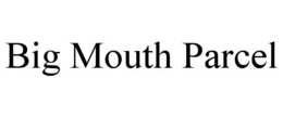 BIG MOUTH PARCEL trademark