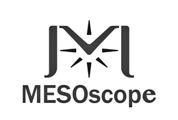 MESOSCOPE trademark