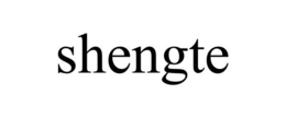 SHENGTE trademark