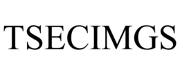 TSECIMGS trademark