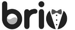 BRIO trademark