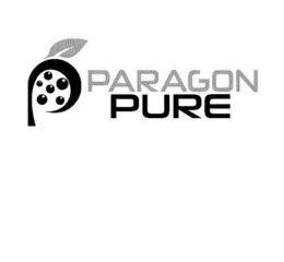 P PARAGON PURE trademark
