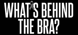 WHAT'S BEHIND THE BRA? trademark