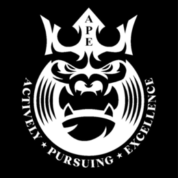 APE ACTIVELY PURSUING EXCELLENCE trademark