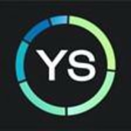 YS trademark