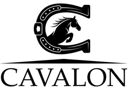 CAVALON trademark