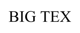 BIG TEX trademark