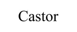 CASTOR trademark
