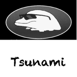 TSUNAMI trademark