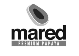 MARED PREMIUM PAPAYA trademark