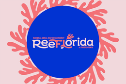 NATIONAL CORAL REEF CONSERVANCY REEFLORIDA AT FROST SCIENCE trademark