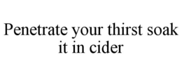 PENETRATE YOUR THIRST SOAK IT IN CIDER trademark