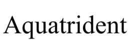 AQUATRIDENT trademark