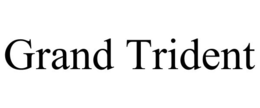 GRAND TRIDENT trademark