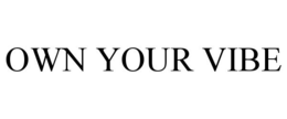 OWN YOUR VIBE trademark