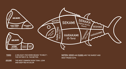 NOTEN SEKAMI SENAKA (HIGHEST QUALITY AKAMI) SESHIMO HARASHIMO HARANAKA (CHU-TORO) HARAKAMI (O-TORO) KAMA-TOTO (BACK CHEEK) HOHO-NIKU (CHEEK) AKAMI RED MUSCLE CHU-TORO (FATTY TUNA) WAKAREMI (HIRE) KAMI (CHU TORO) SHIMOFURI (O-TORO, EXTRA-FATTY) JABARA (O-TORO, EXTRA-FATTY) TORO A DELICACY (THE WORD MEANS "TO MELT") THE FATTIER IT IS, THE BETTER AKAMI THE MOST COMMON SUSHI TUNA, LEAN AND DEEP RED IN COLOR NOTEN, HOHO AND KAMA ARE THE RAREST AND MOST PRIZED CUTS trademark